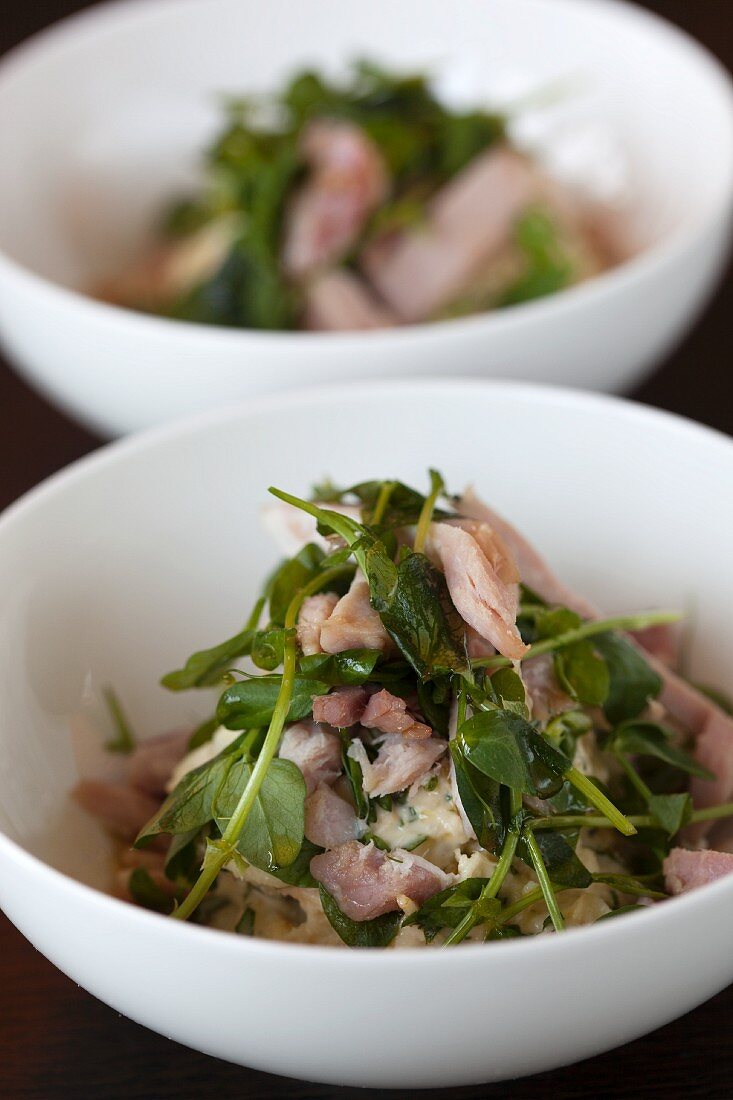 Ham and water cress salad with vinaigrette