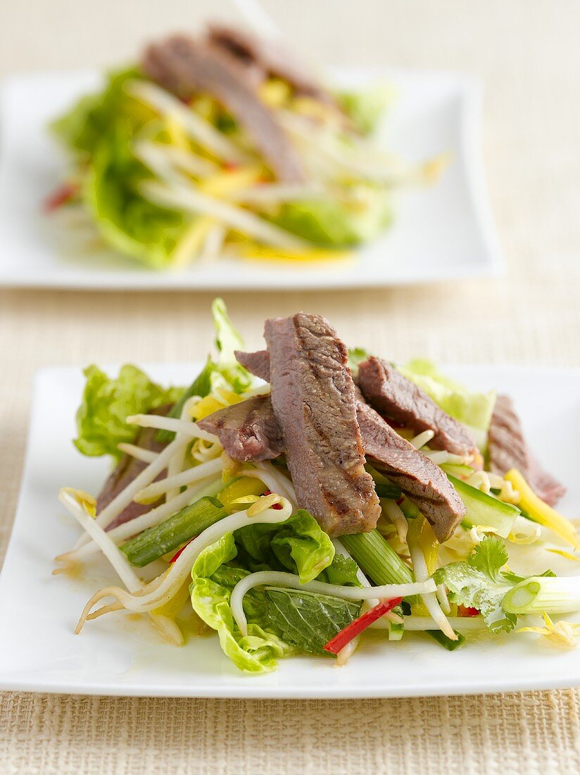 Beef salad with sprouts (Thailand)