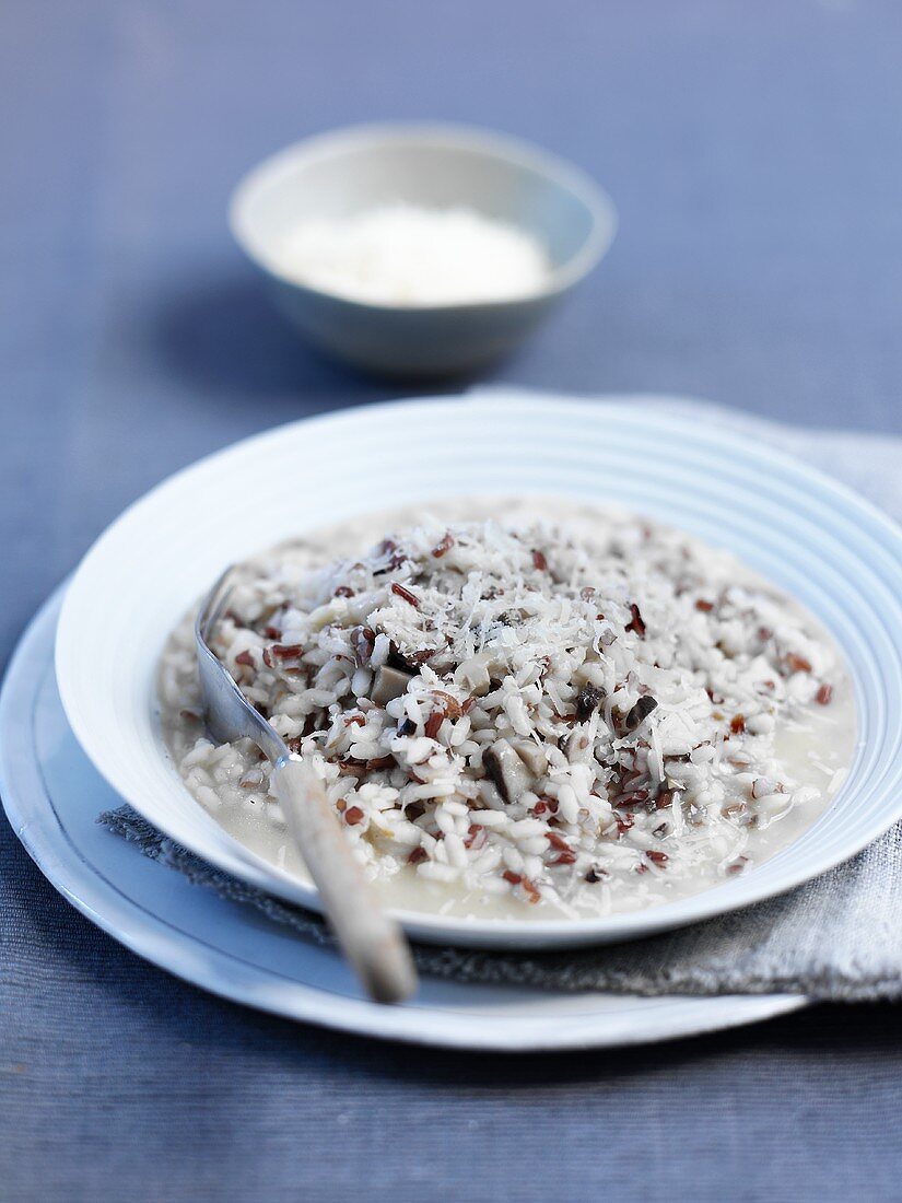 Wild risotto with wild mushrooms