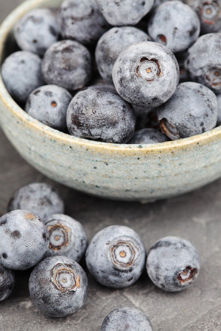 A bowl of blueberries