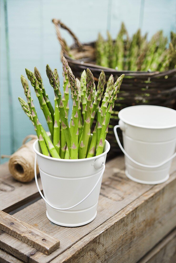 Still life with green asparagus in a metal bucket and basket