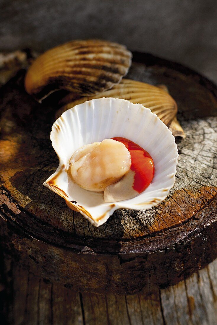 An open scallop on a piece of wood
