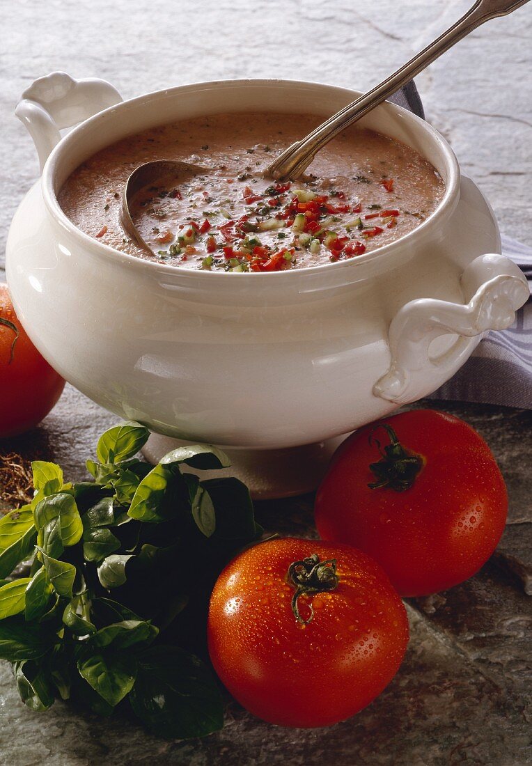 Sommergemüsesuppe