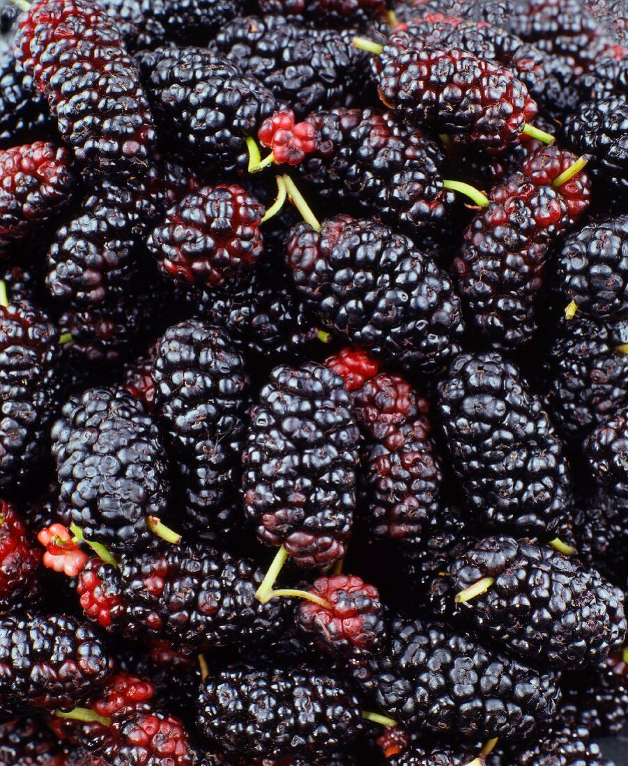 Mulberries (macro zoom)