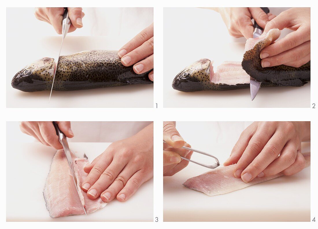 Fish being filleted and gutted