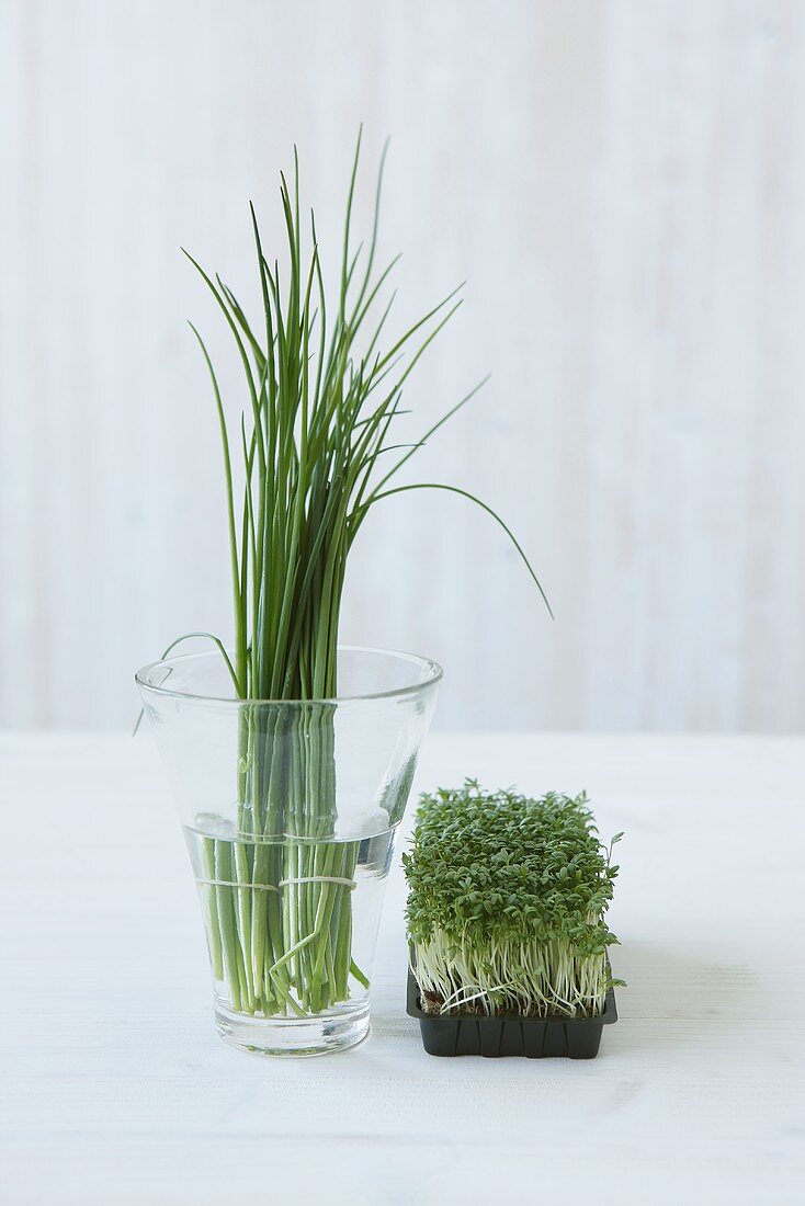 Chives and cress