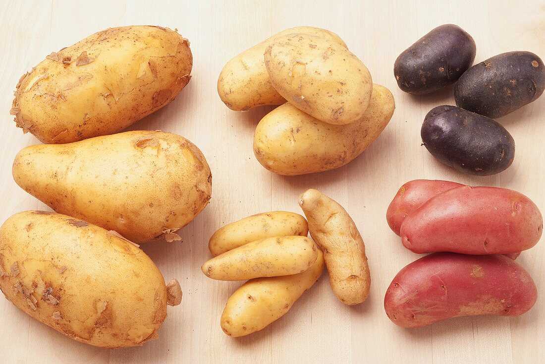 Fest- und mehligkochende Kartoffeln, Trüffelkartoffeln und rotschalige Kartoffeln
