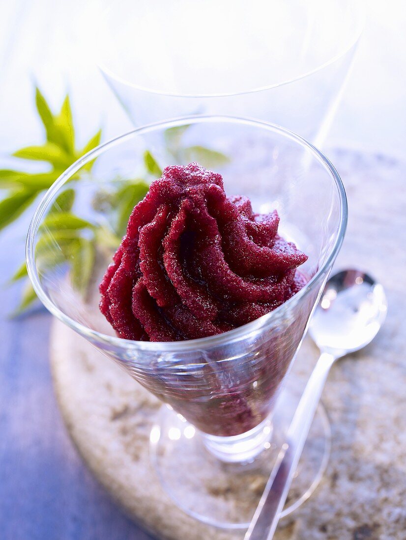 Elderberry sorbet