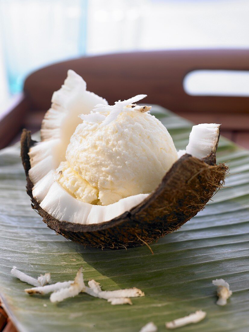 Kokoseis in Kokosnussschale