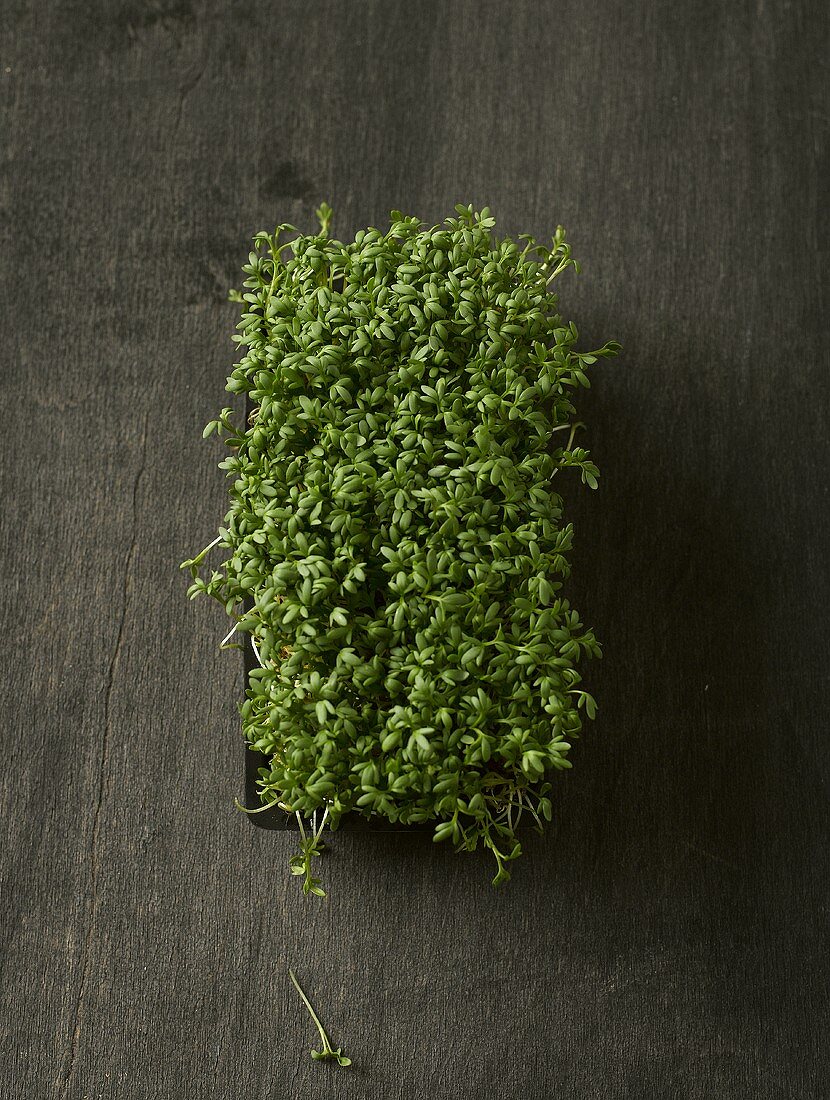 Fresh cress (seen from above)