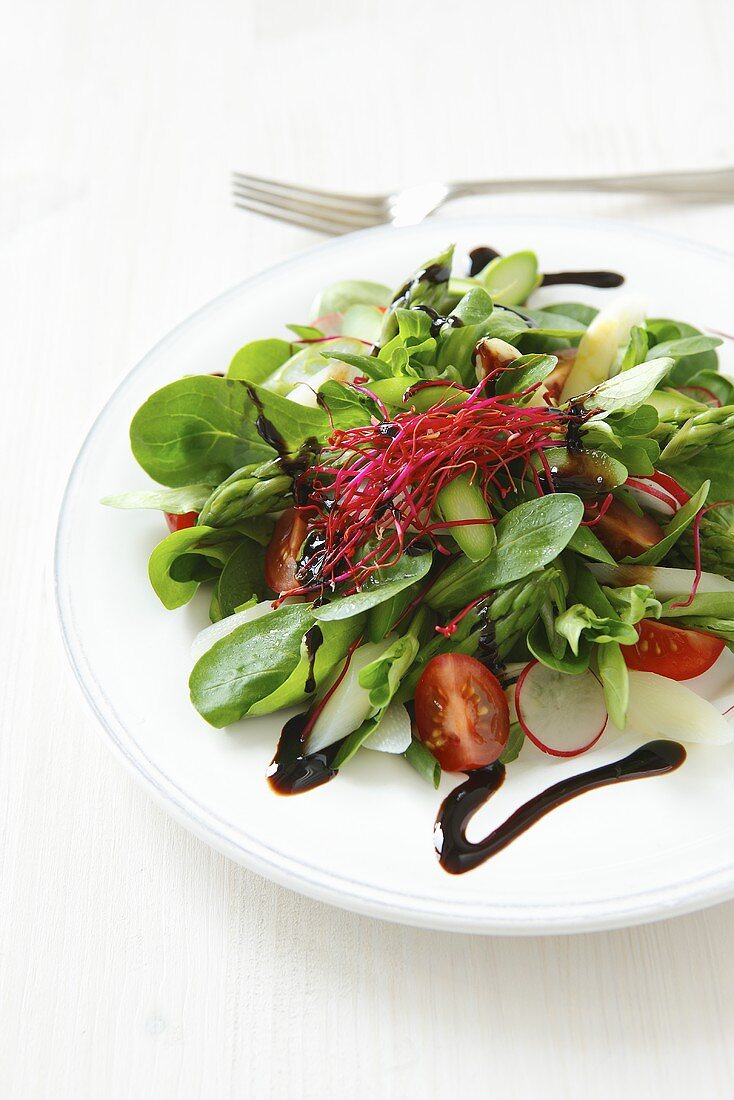 Spargelsalat mit Spinat, Tomaten und Radieschen