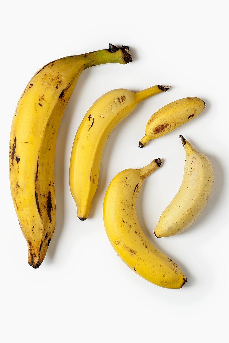 Bananas in various sizes