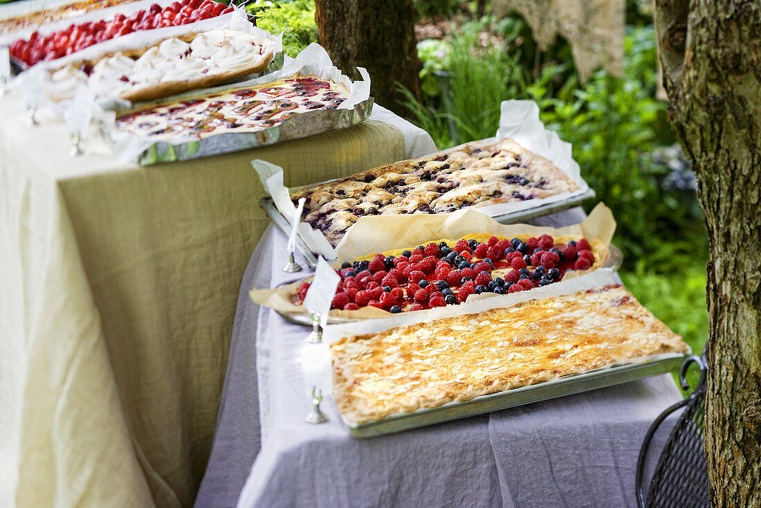 A cake buffet with tray bakes in a garden