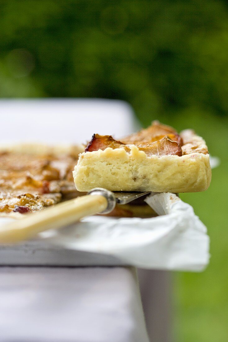 Nectarine cake with treacle (detail)