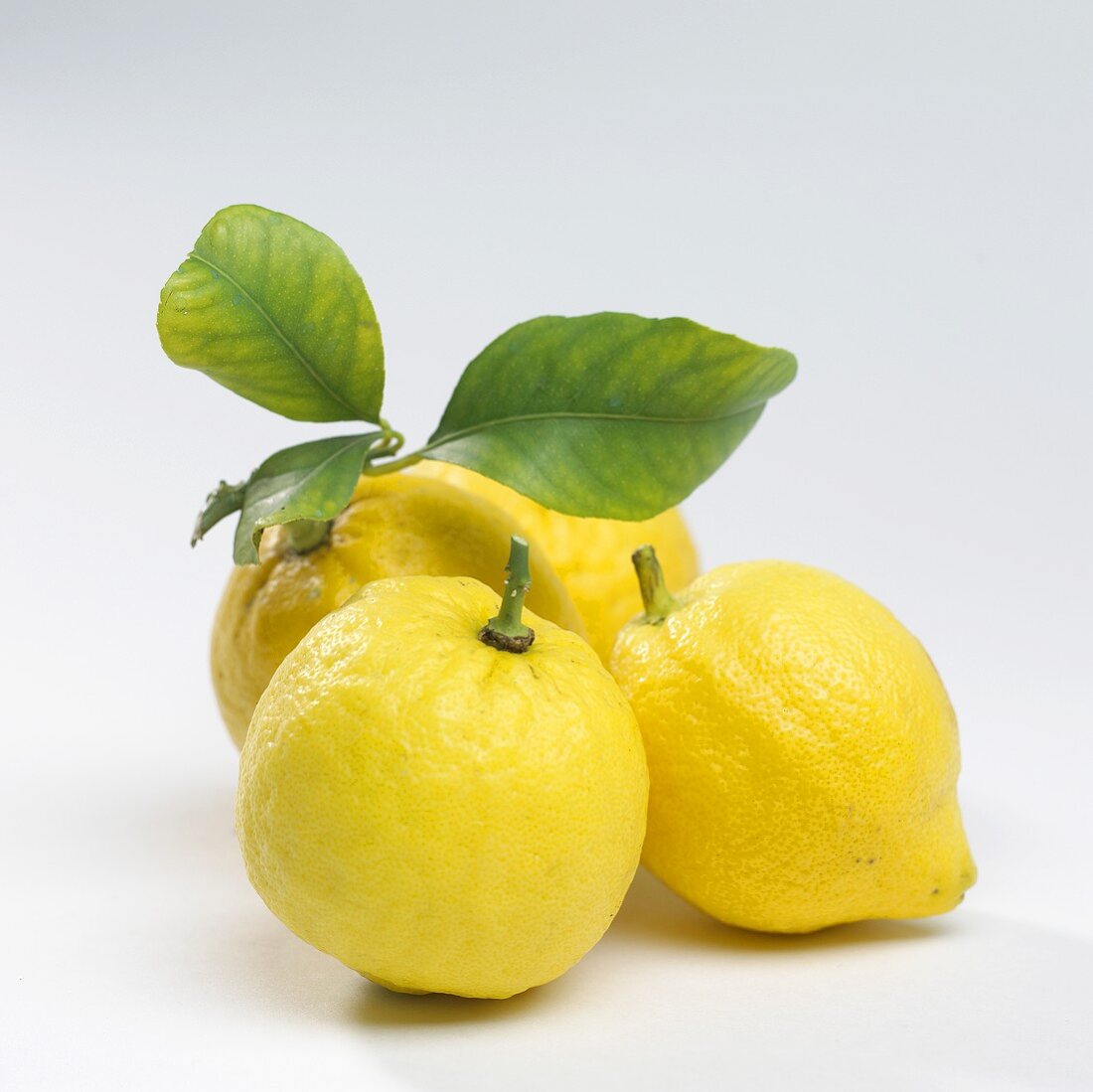 Mehrere Zitronen mit Blättern