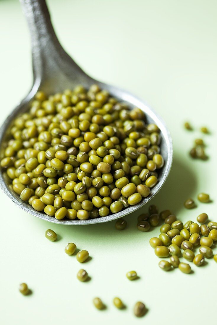 A ladle of soya beans