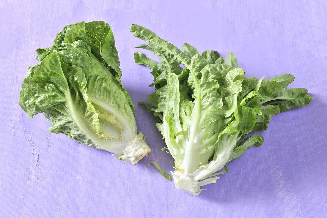 Cos lettuce and green dandelions