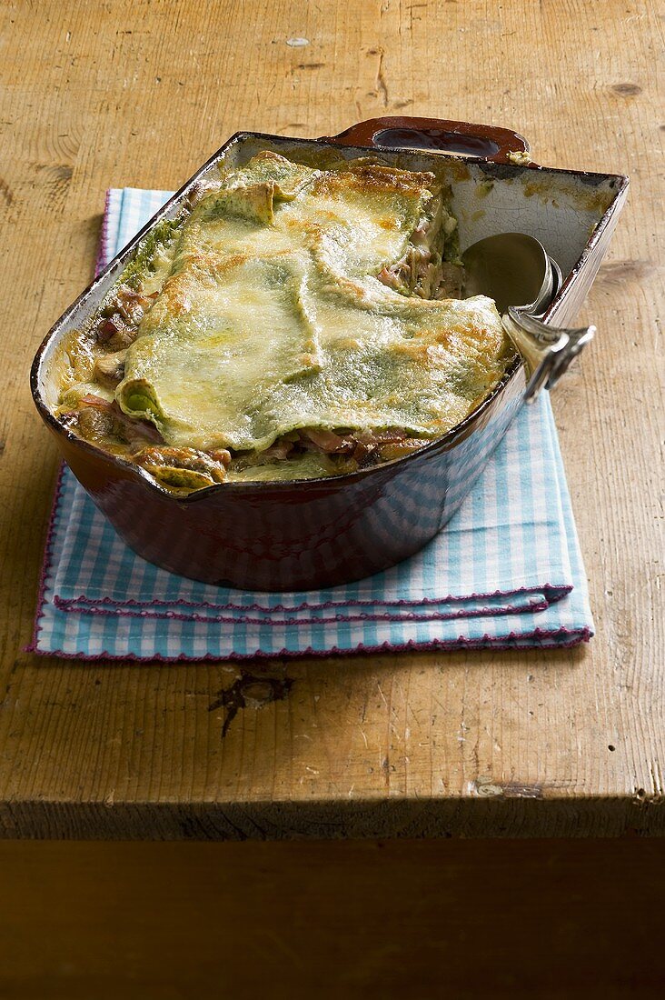 Lasagne verdi ai funghi (Grüne Lasagne mit Pilzen, Italien)