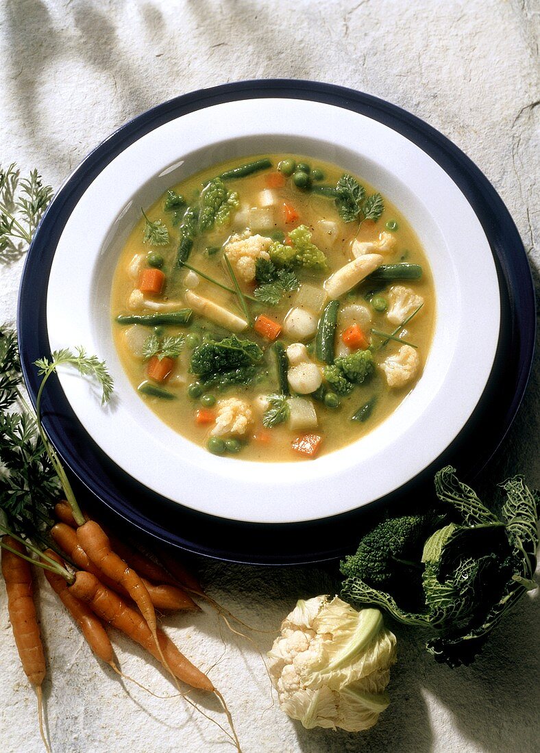 Frühlingsgemüsesuppe