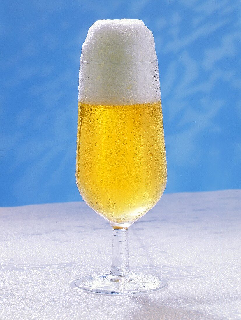A Cold Glass of Beer; Foam