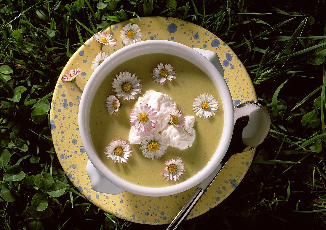 Cold Potato Soup with Daisies