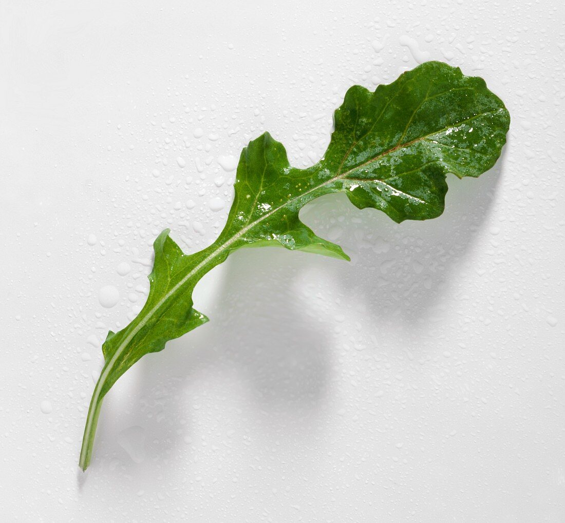 Several Leaves of Arugula