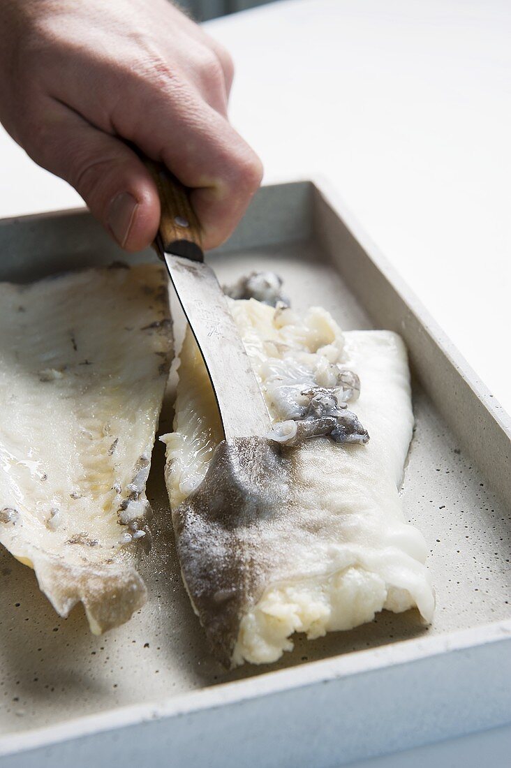 Stockfish being cleaned