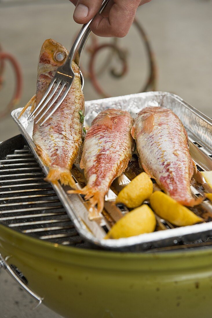 Red mullet being grilled