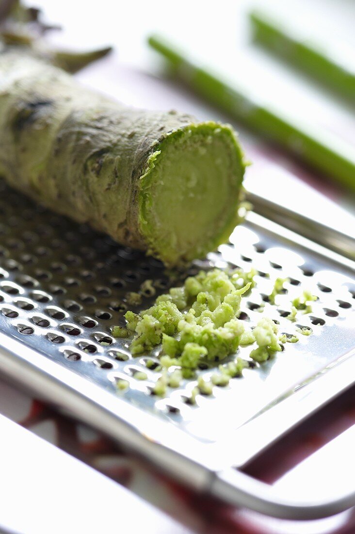 A wasabi root with a grater (wasabia japonica)