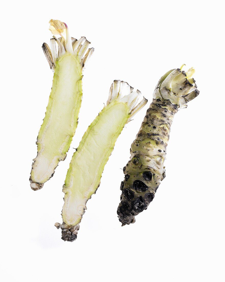Wasabi roots (wasabia japonica)