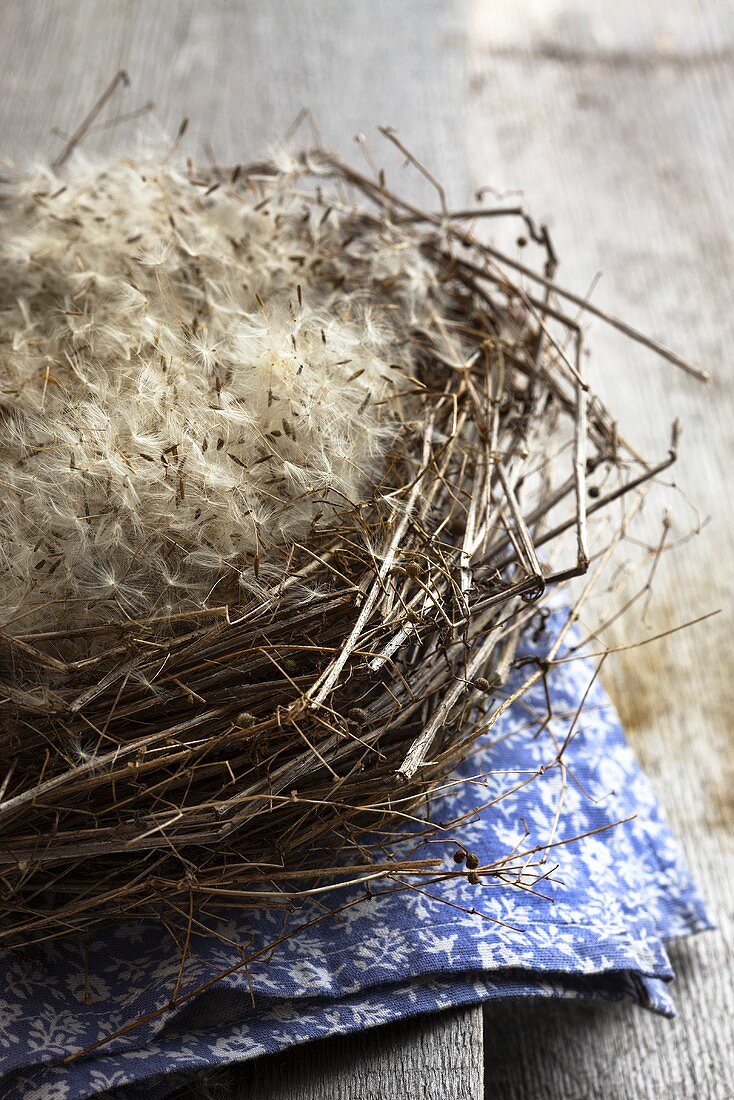 A bird's nest with dandelion seeds on a cloth