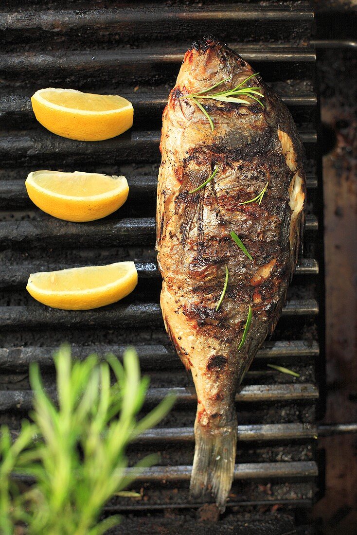 Grilled bream with rosemary