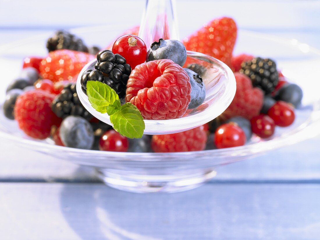 Frische Beeren in Schüssel und auf Löffel