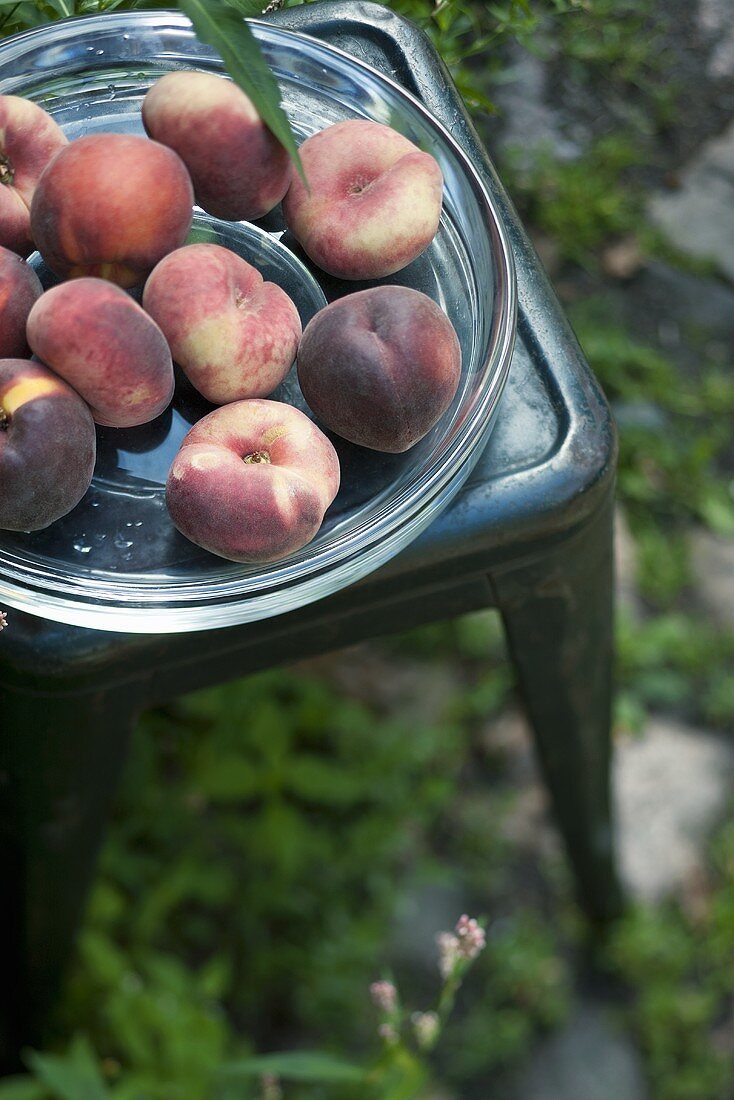Frische Pfirsiche in Glasschale auf Gartentisch