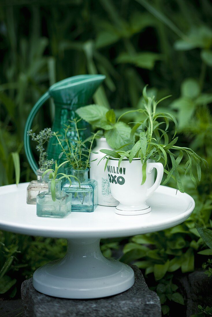 An assortment of fresh herbs in glasses and cups