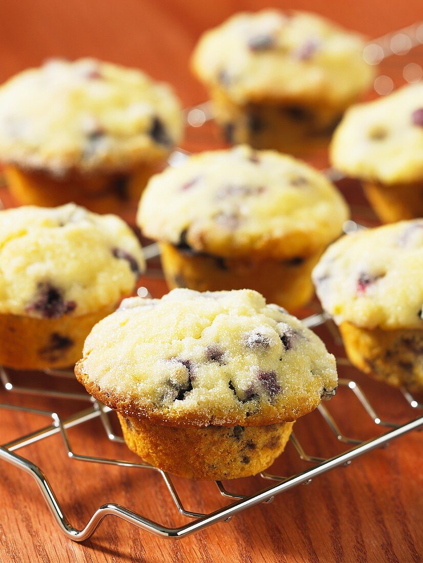 Blueberry and lemon muffins on a wire rack