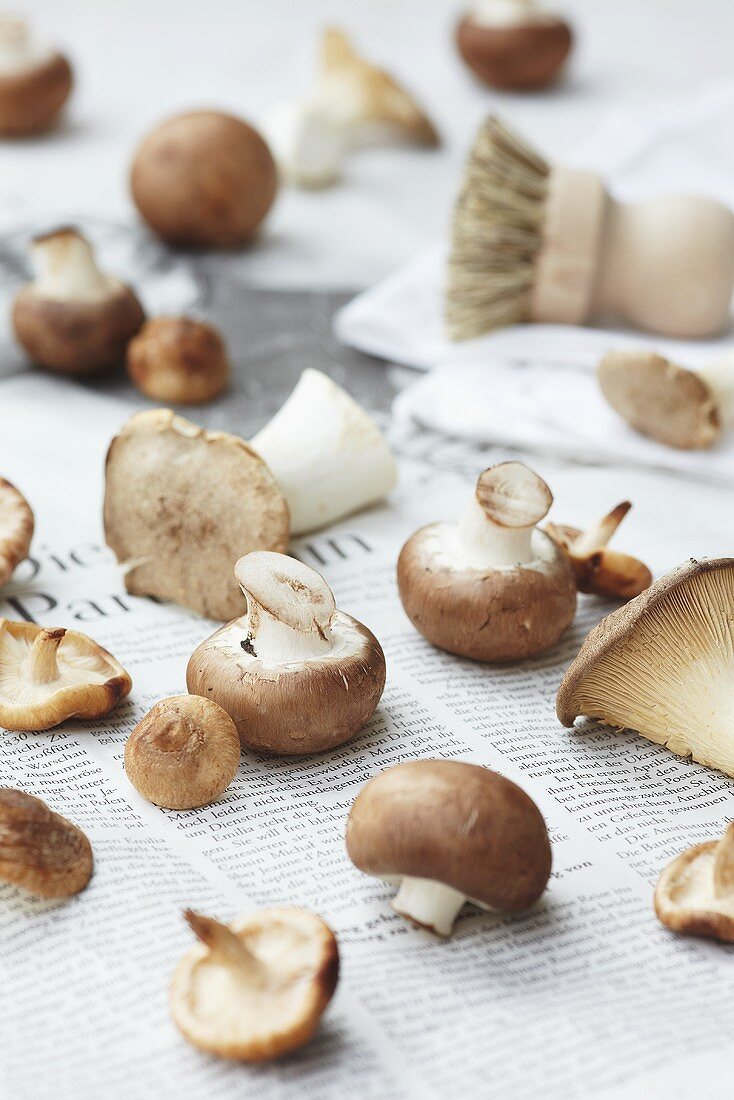 Fresh mushrooms with a brush