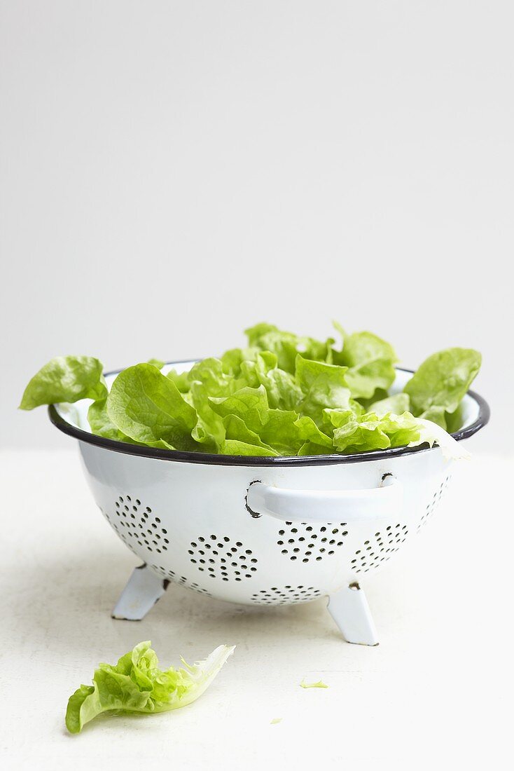 Lettuce leaves in a sieve