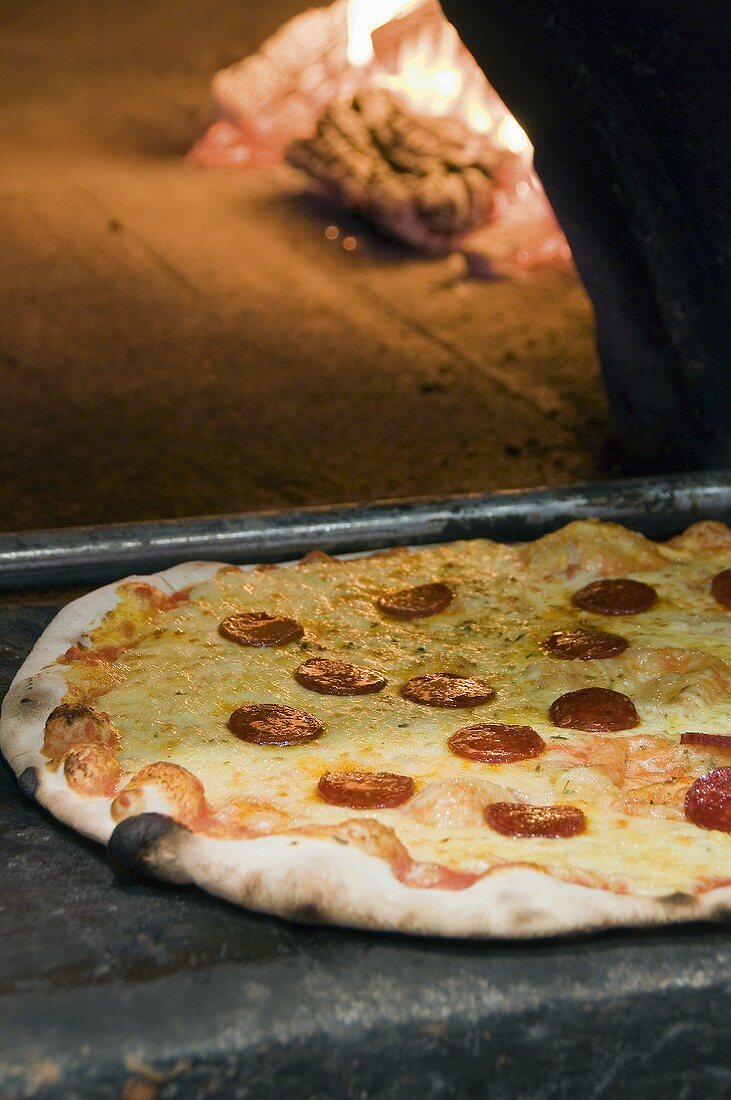 Pizza al salame (Salami pizza, Italy)
