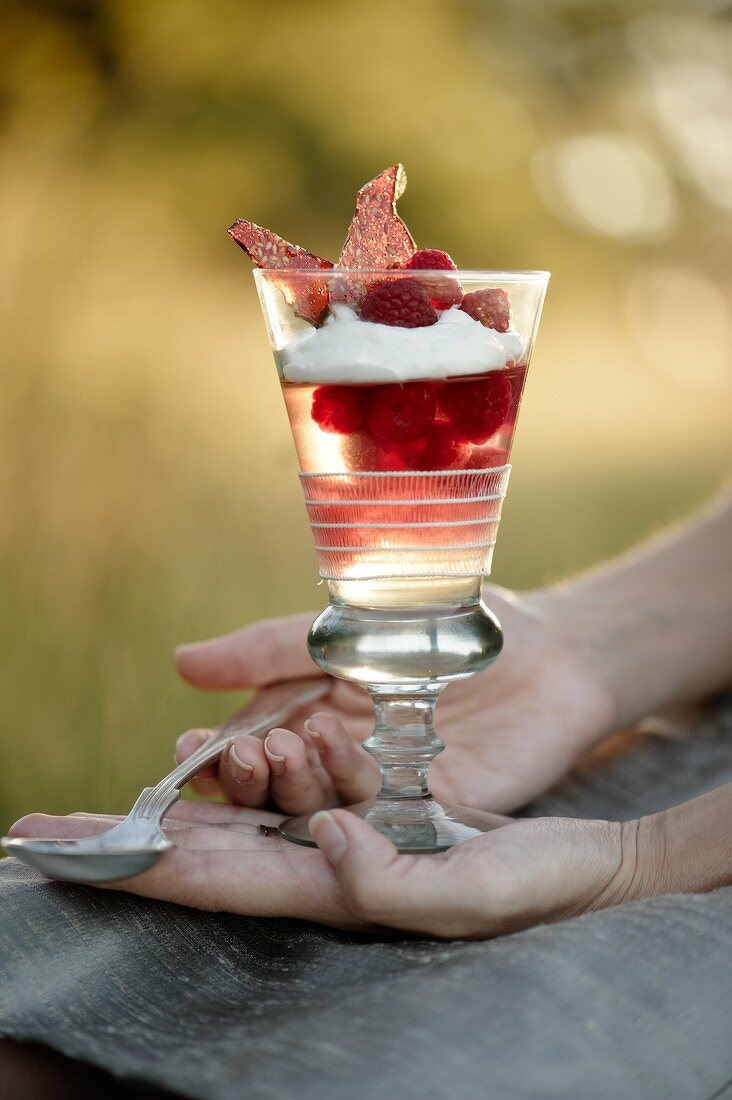 Wine jelly with raspberries, cream and raspberry caramel