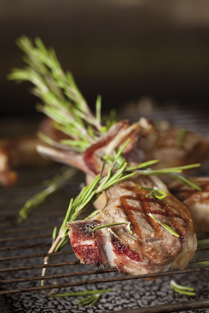 Grilled lamb chop with rosemary