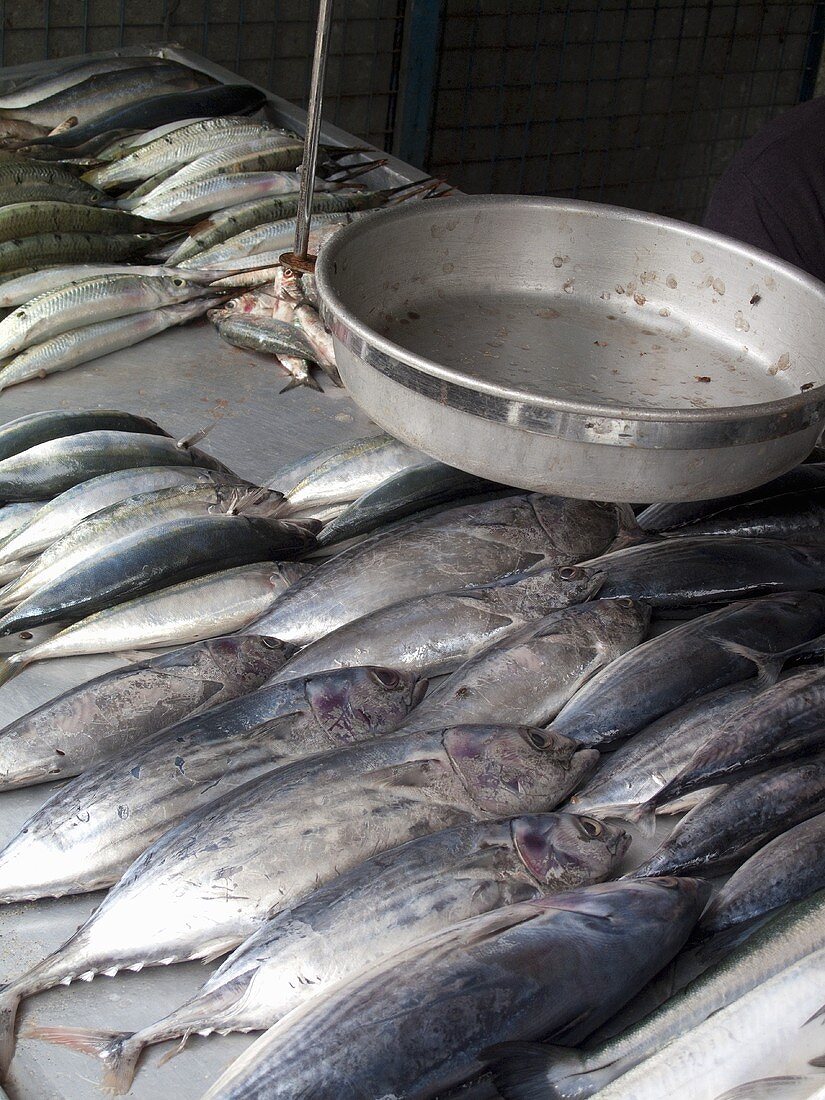 Fresh fish on a market stand in Sri Lanka
