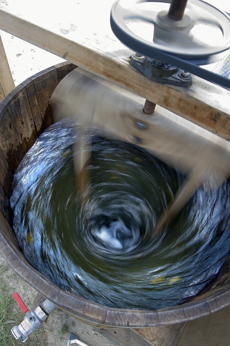 A preparation or a tea being mixed with water and dynamized. It will later be sprayed onto the vines. Domaine Rossignol-Trapet, dynamization, Burgundy, France