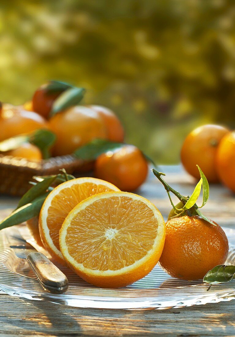 Halved oranges and mandarins on a glass plate