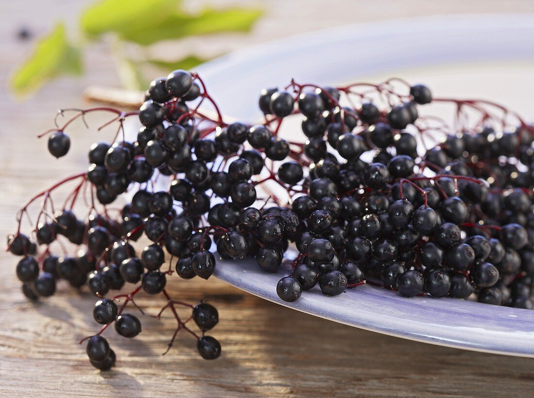 Elderberries on a plate