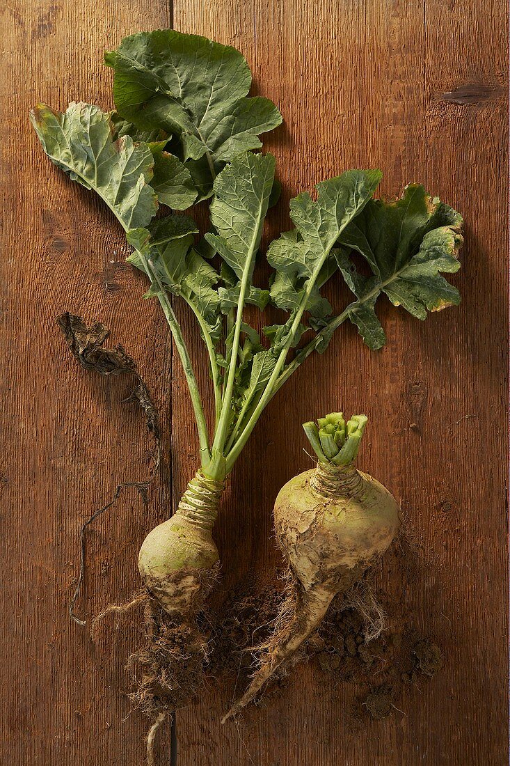 Turnips with and without leaves