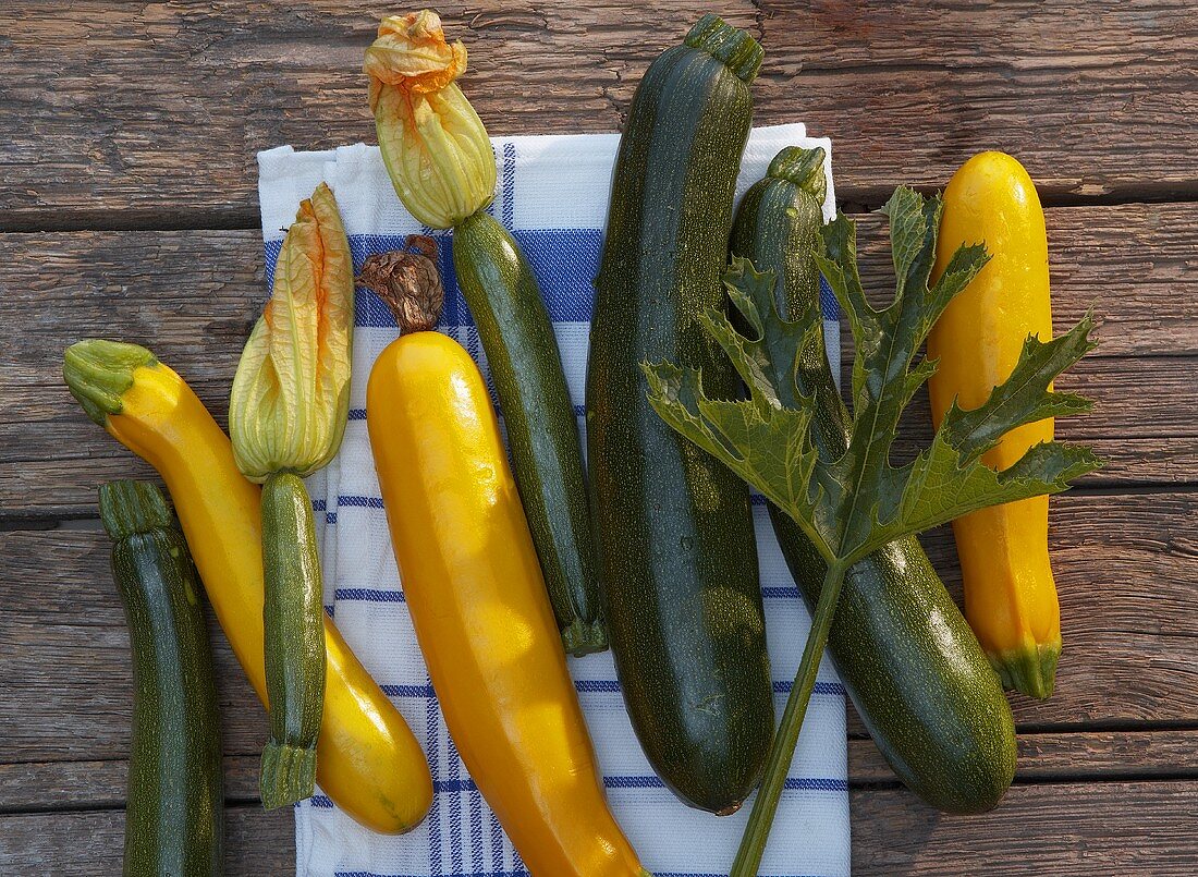 Gelbe und grüne Zucchini mit Blüten