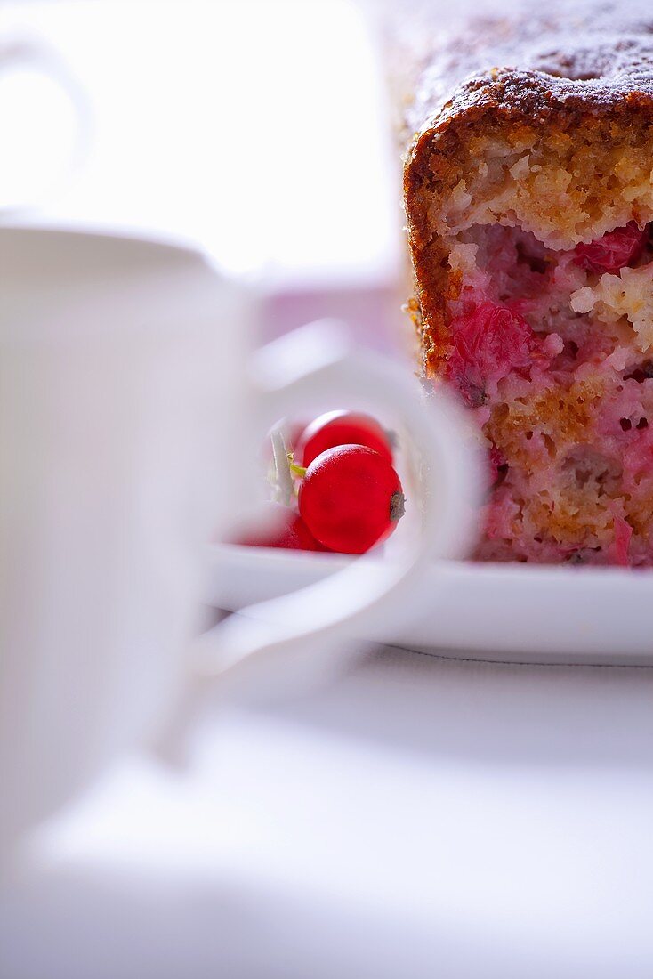 Redcurrant cake