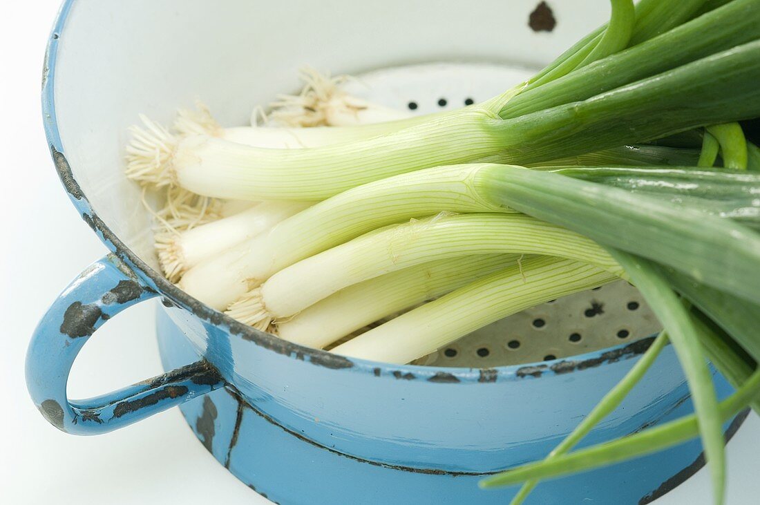 Spring onions in a colander