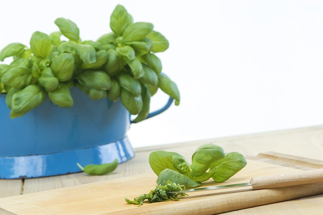 Basil in a colander and chopped basil